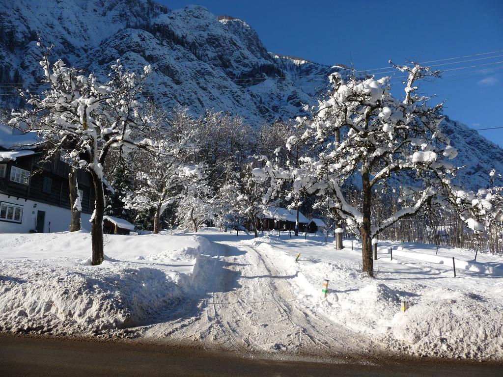 Haus Salzkammergut Obertraun Exterior foto