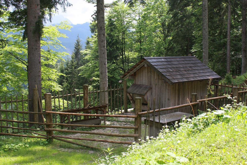 Haus Salzkammergut Obertraun Exterior foto